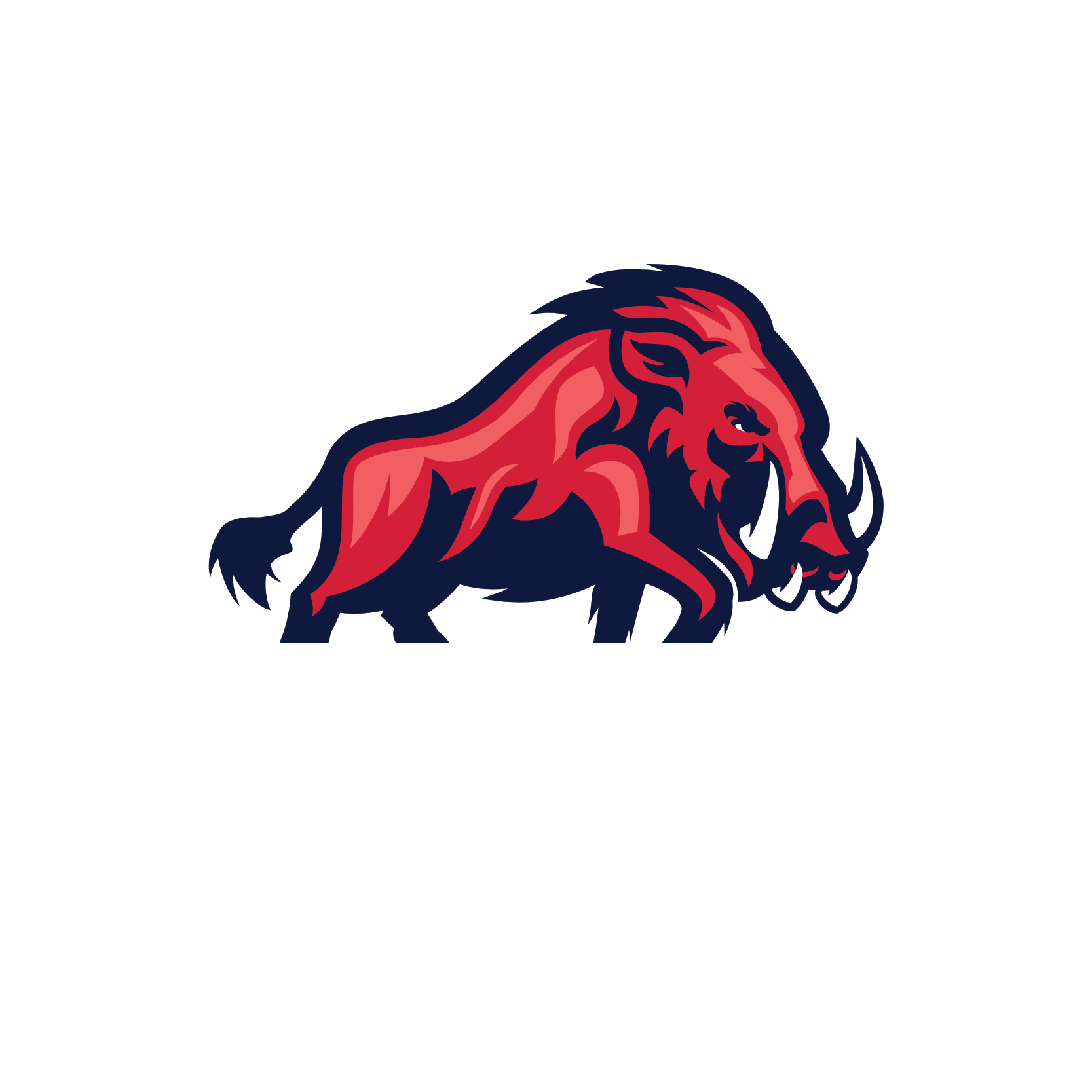 ifm Razorbacks Ravensburg Logo